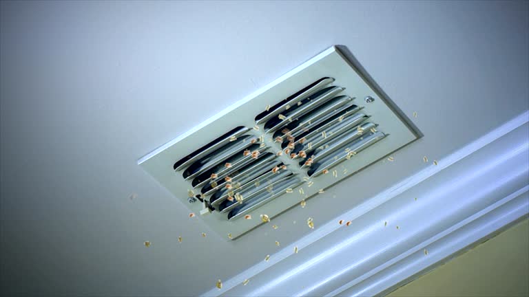 Best Ventilation Cleaning Services  in Tome, NM